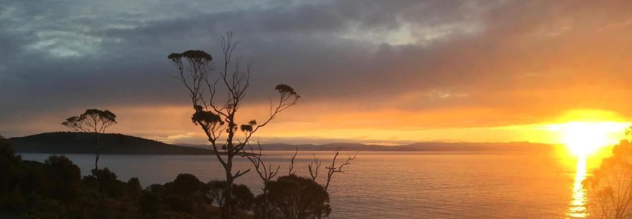 Вилла Chill Tasmania Уайт Бич Экстерьер фото